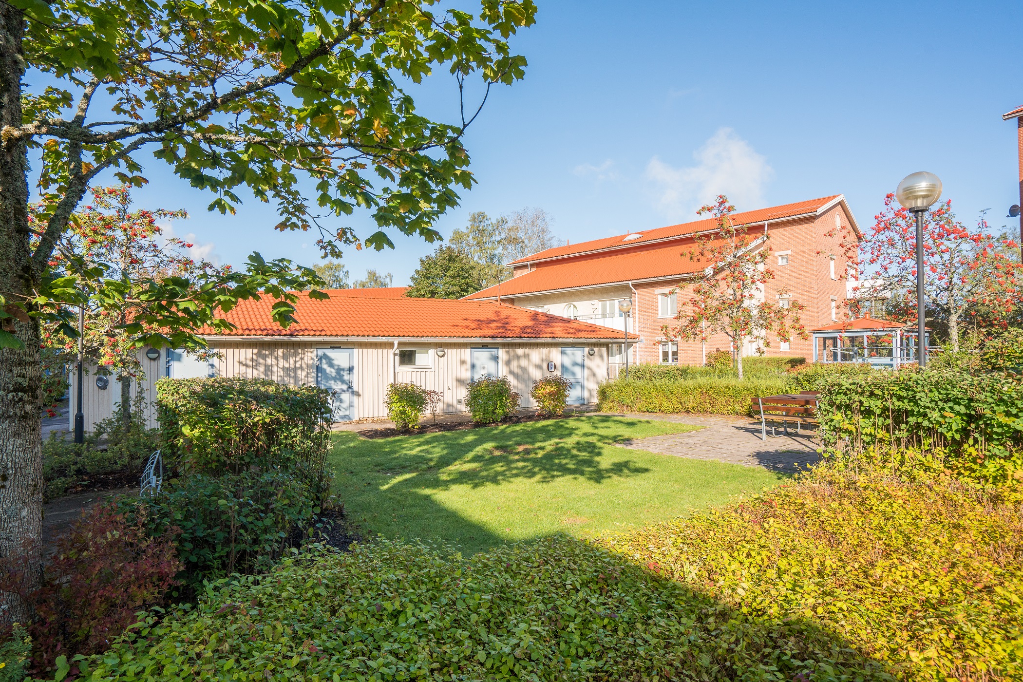 Main image